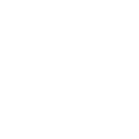 Coin Of The Coin